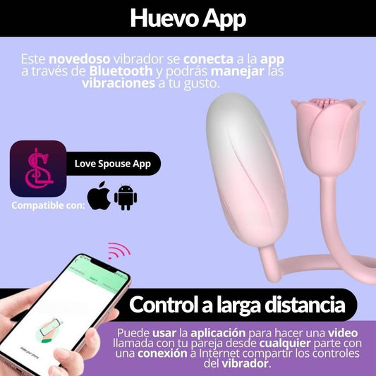 Huevo Vibrador Inalámbrico